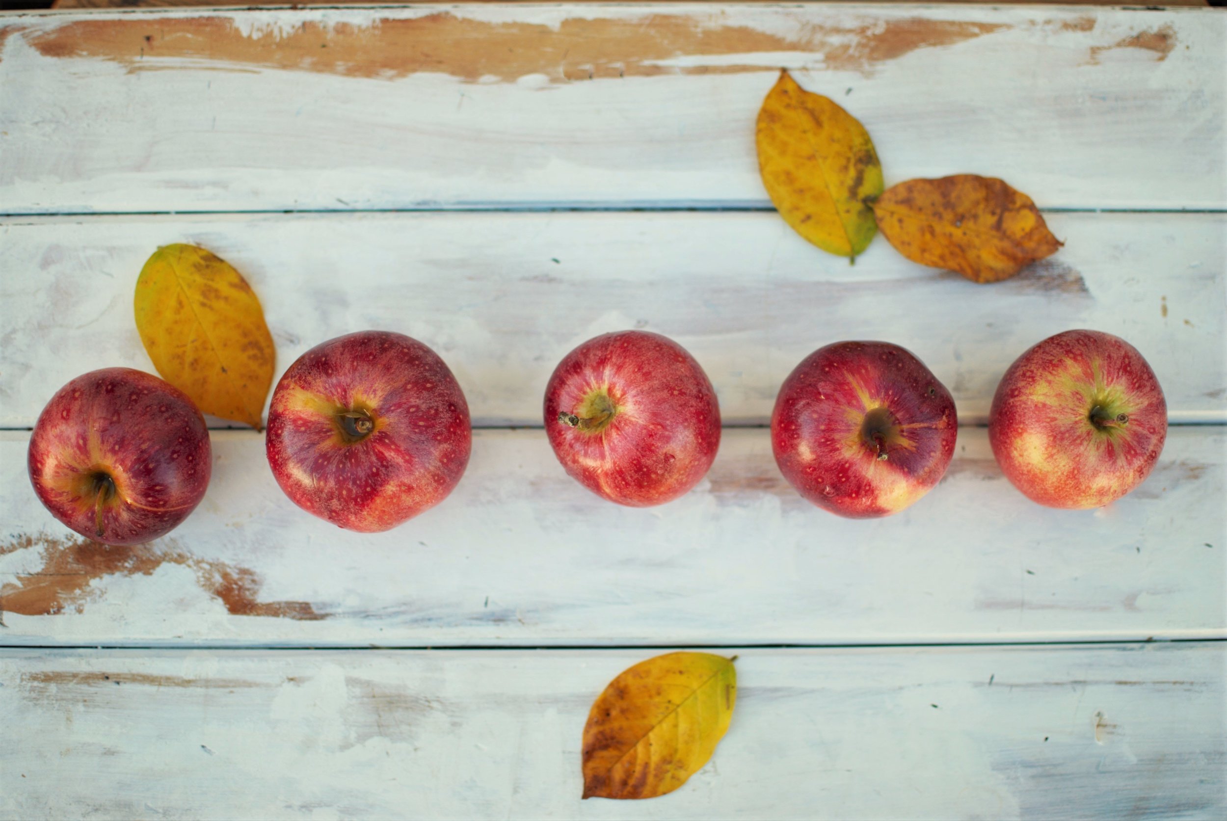 apples on table with fall leaves Photo by Fischer Twins on Unsplash.jpg