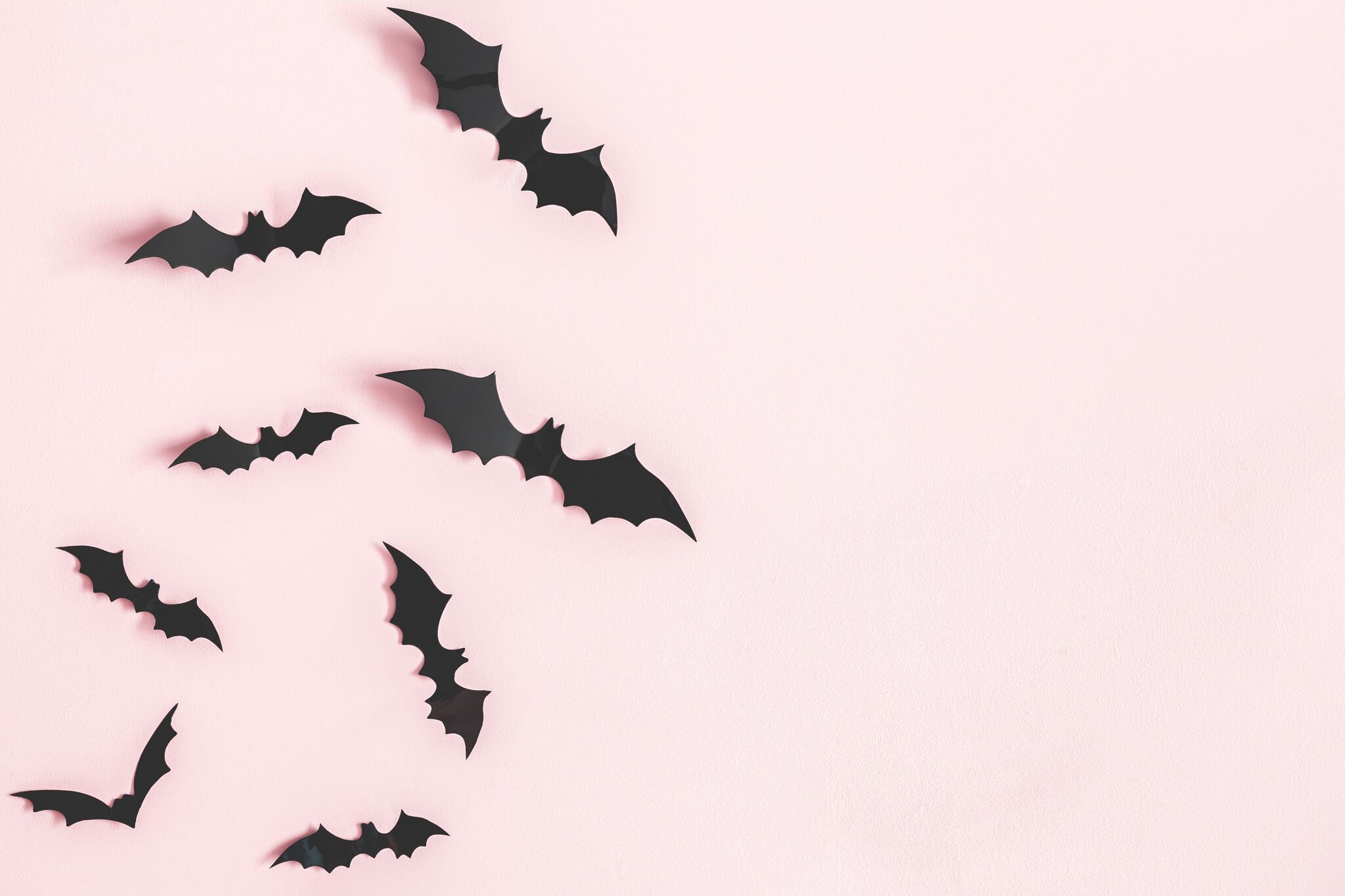 halloween bats.jpeg