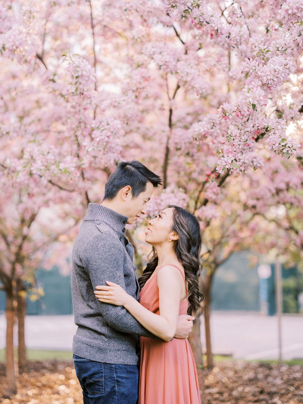 cherry blossom engagement couple Calgary